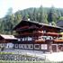 Bergwald Pension Alpbach