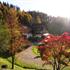 Waldhotel Palmspring Bad Peterstal-Griesbach
