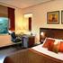Comfort Inn The President New Delhi