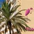Hotel Flamingo Frigola Lloret de Mar