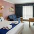 Holiday Inn Newport (Wales)