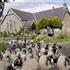 Yew Tree Chapel Bed and Breakfast Alston
